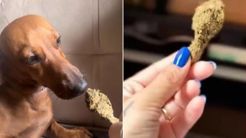 Mulher posta foto oferecendo maconha para cachorro e acaba presa em Sorriso